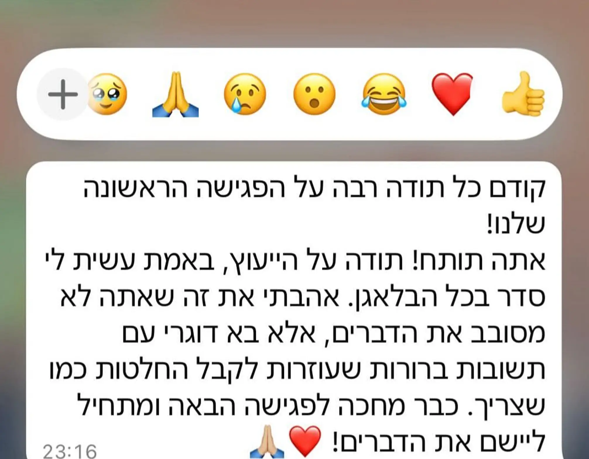 תמונה של WhatsApp_ 2025-08-01 בשעה 16.24.39_0214a9cc (1)